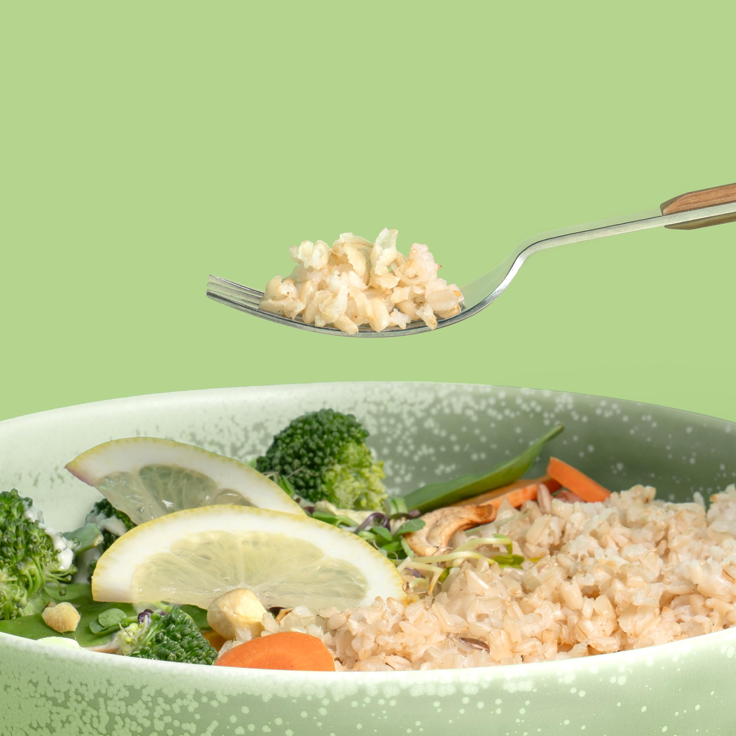 Reishunger Gekeimter Bio Natur Reis 600 g gekeimt