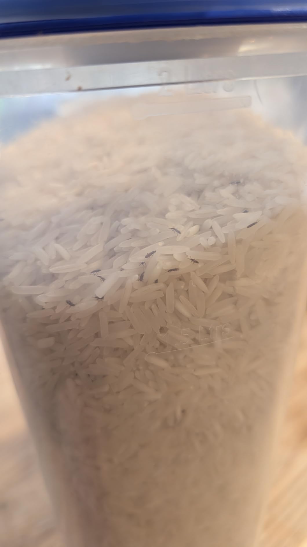 Daawat Original Basmati Reis Langkorn 5kg Aroma