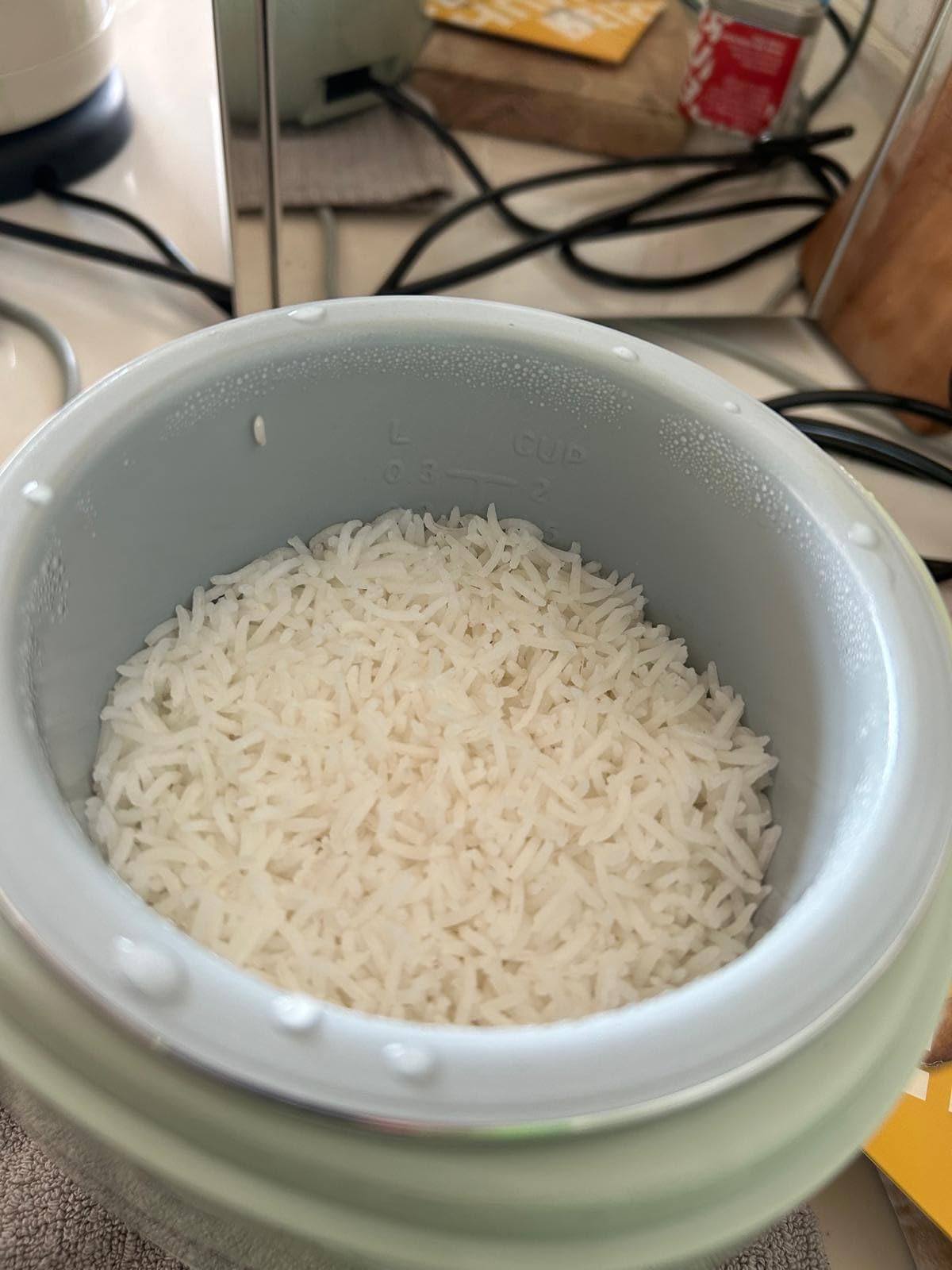 Reishunger Mini Reiskocher 0,3L Waldgrün 1-2 Portionen