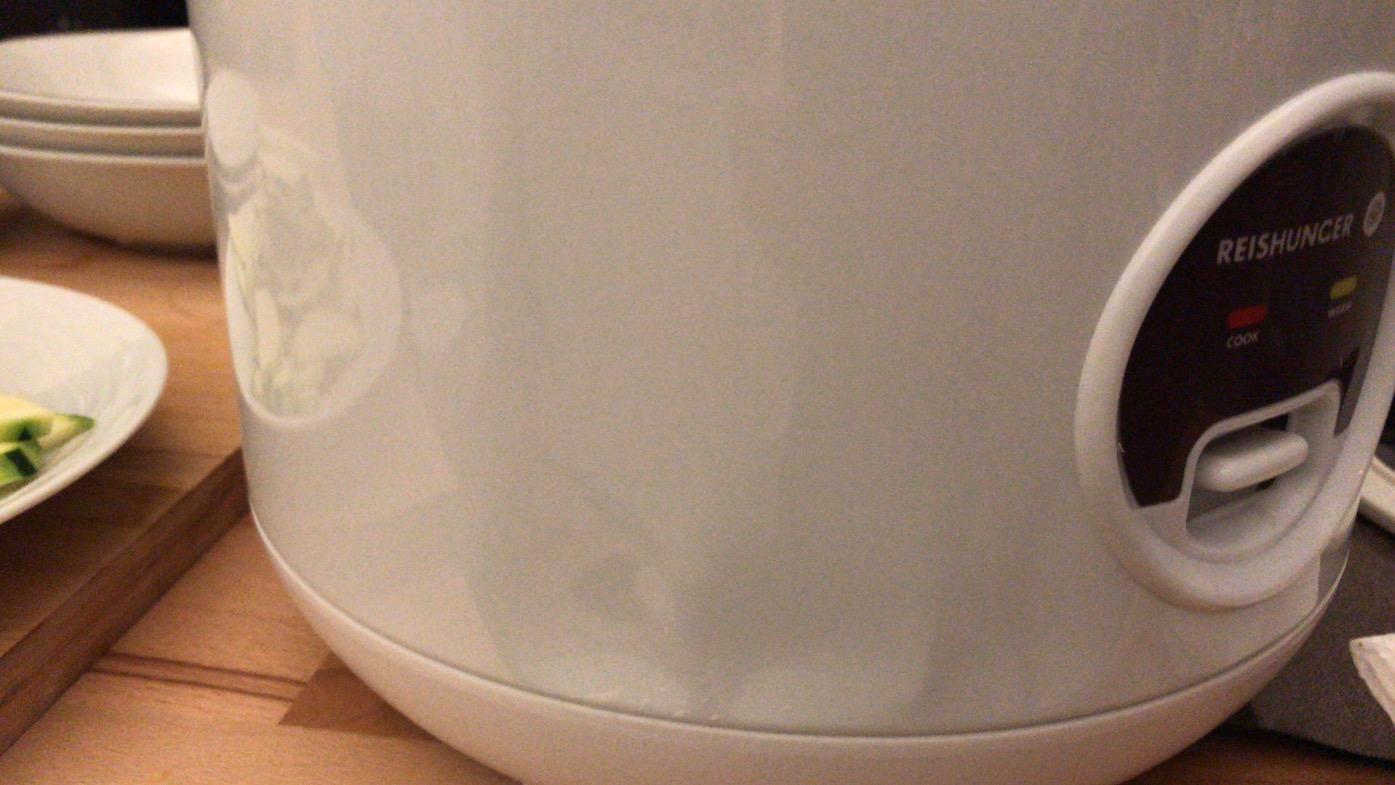 Reishunger Reiskocher Dampfgarer 1,2l Weiß 6 Portionen
