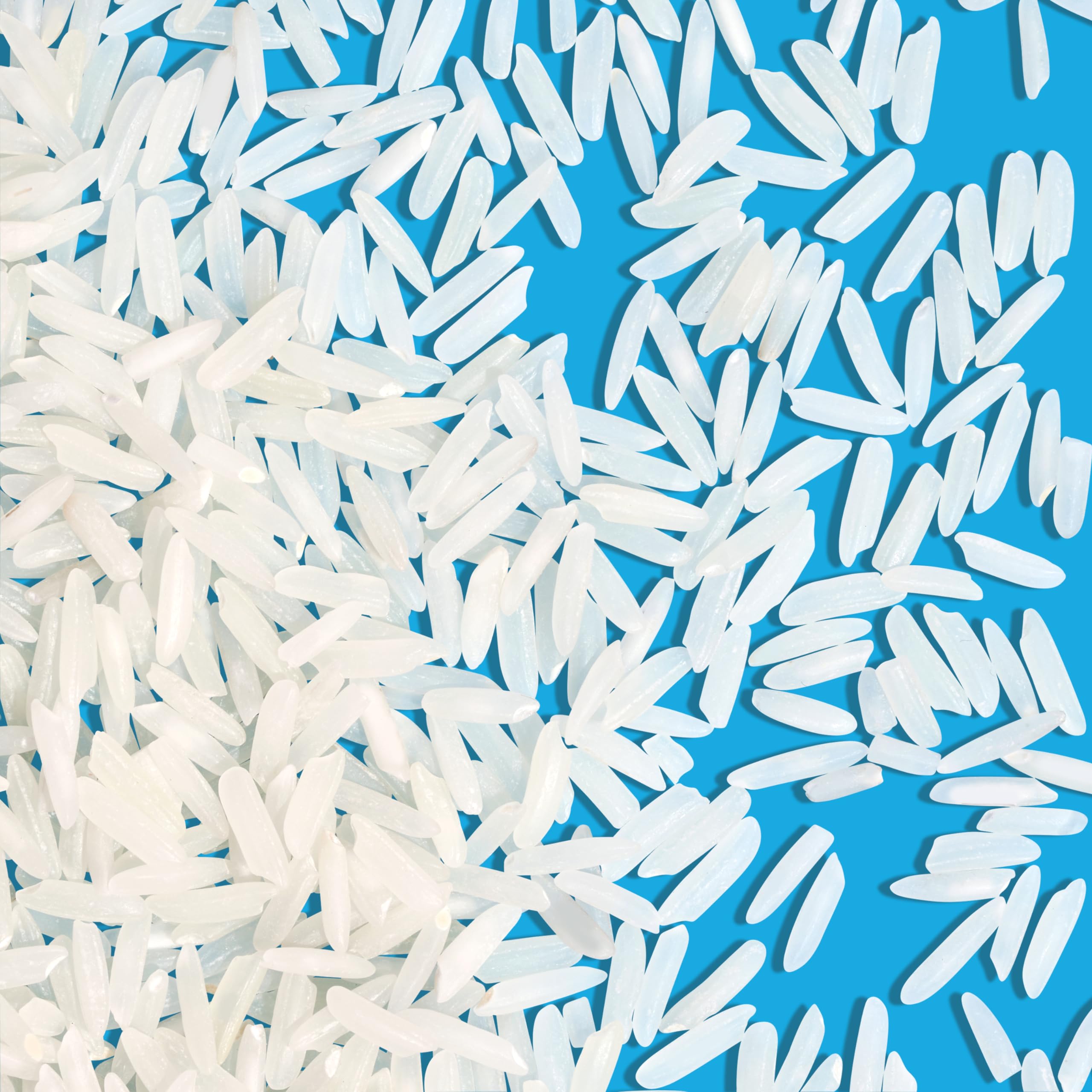 Reishunger Basmati Reis Pusa 1121 Langkorn 3kg