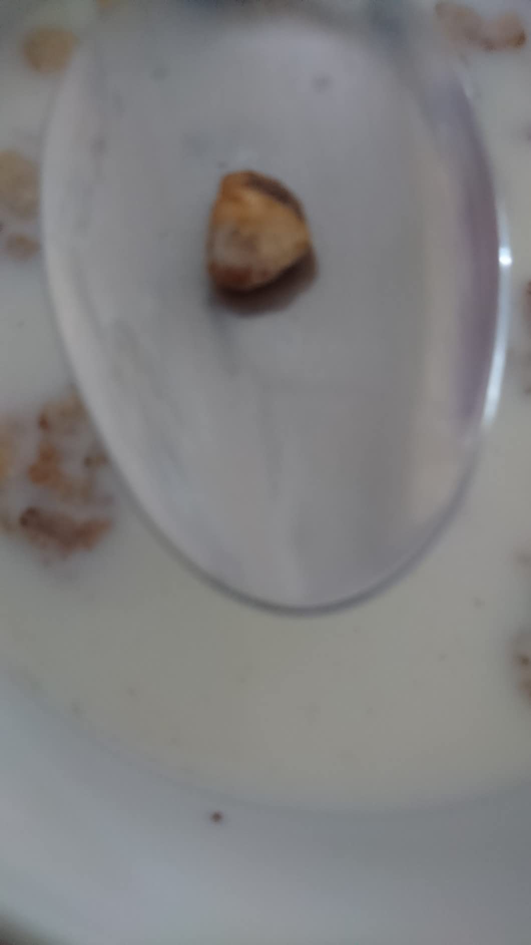 Kellogg's Crunchy Nut Caramelised Nuts Müsli 380g karamellisiert