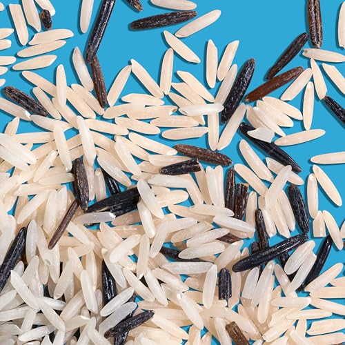 Reishunger Bio Wildreis Basmati Mix Reis 3kg nussig