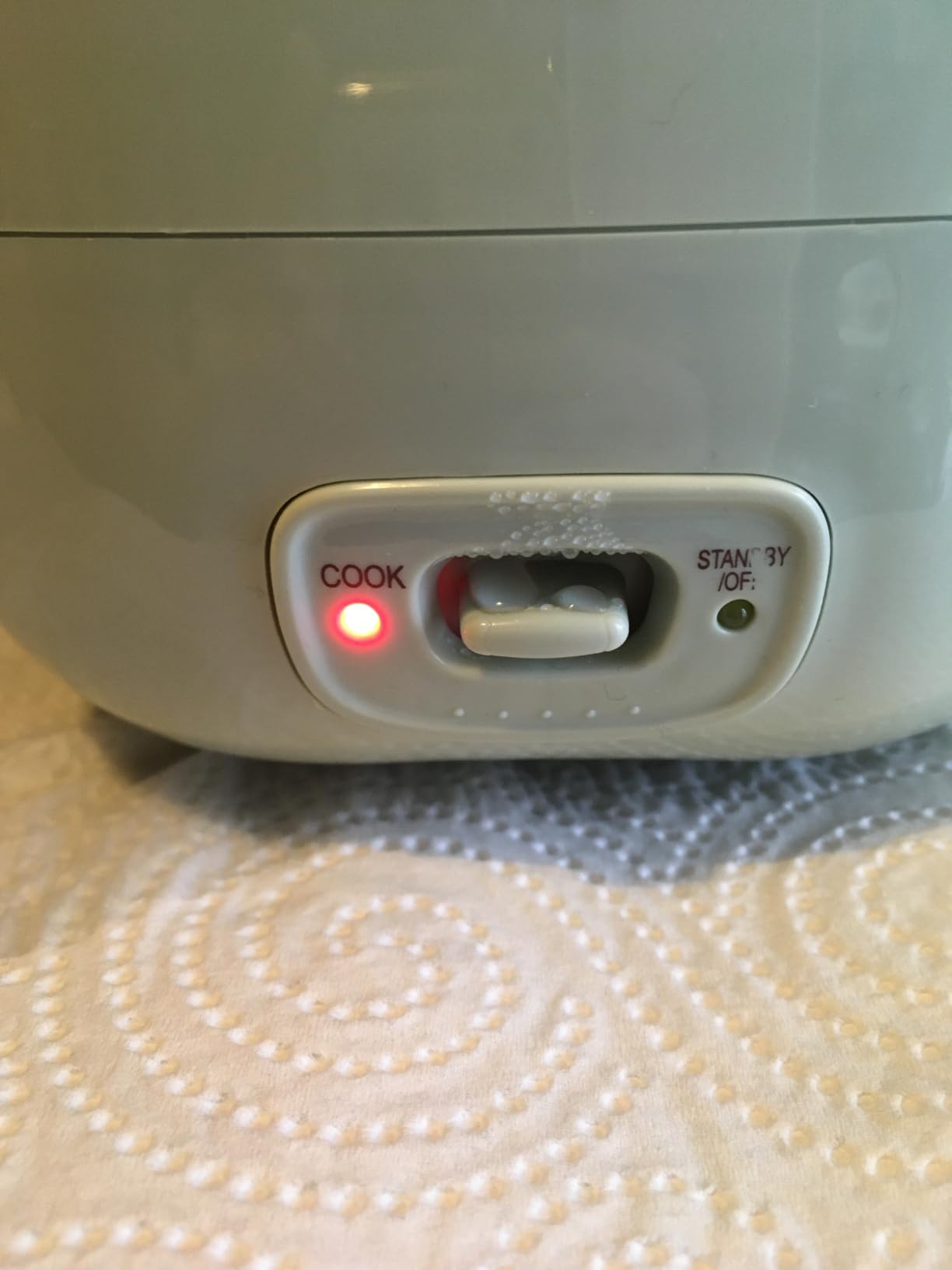 Reishunger Mini Reiskocher 0,3L Waldgrün 1-2 Portionen