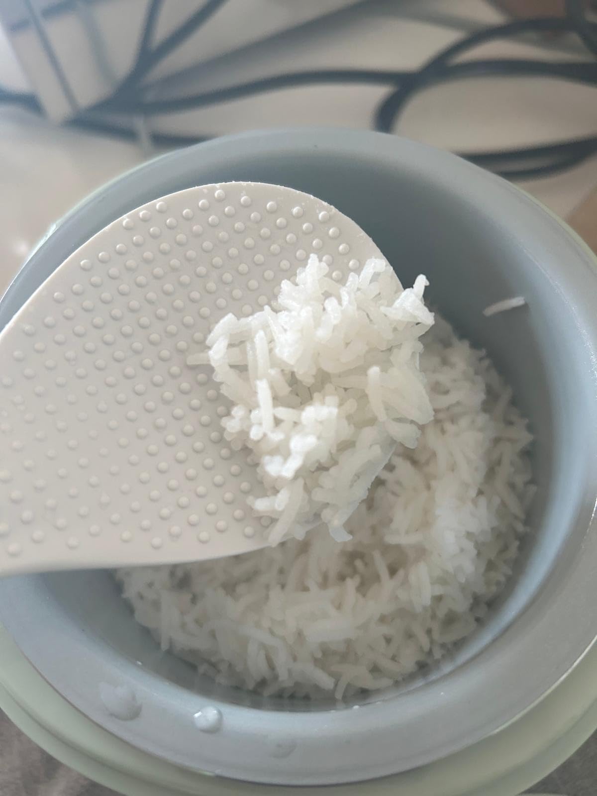 Reishunger Mini Reiskocher 0,3L Waldgrün 1-2 Portionen