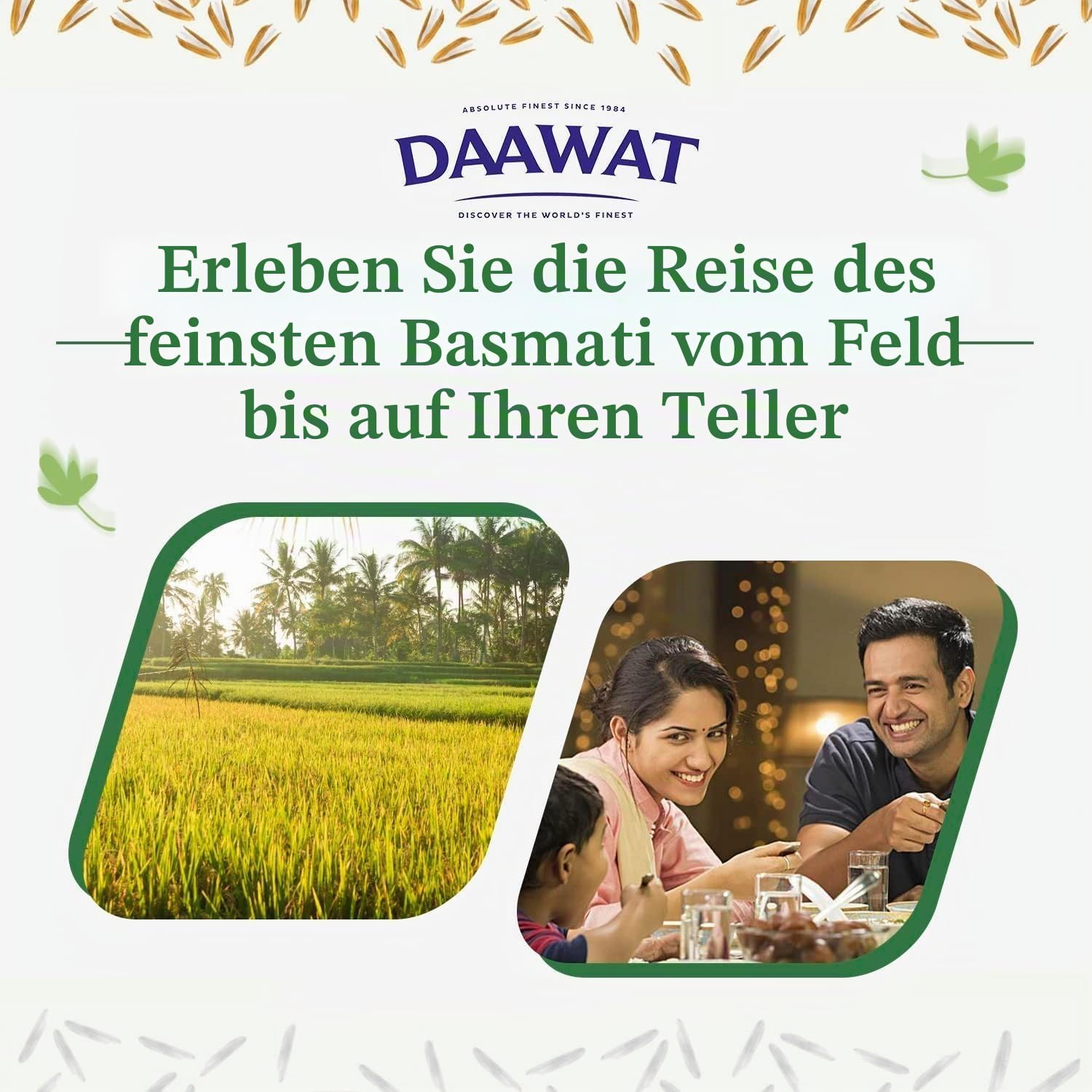 Daawat Extra Long Basmatireis 10 kg aromatisch