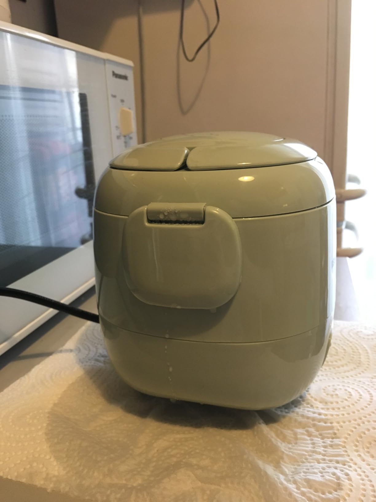 Reishunger Mini Reiskocher 0,3L Waldgrün 1-2 Portionen