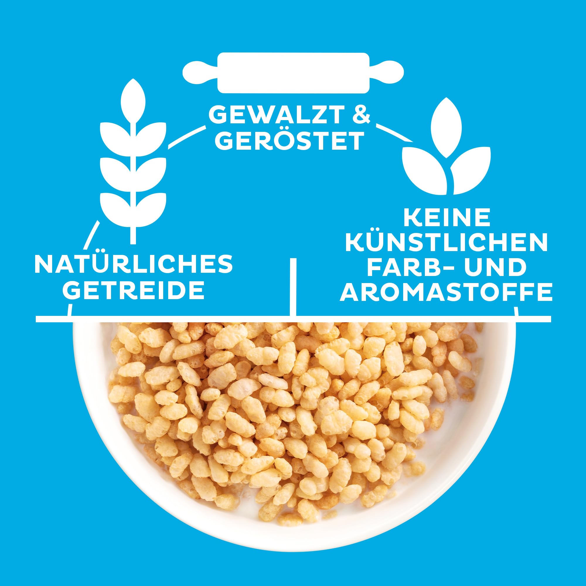 Kellogg's Rice Krispies Cerealien 6x360g geröstet