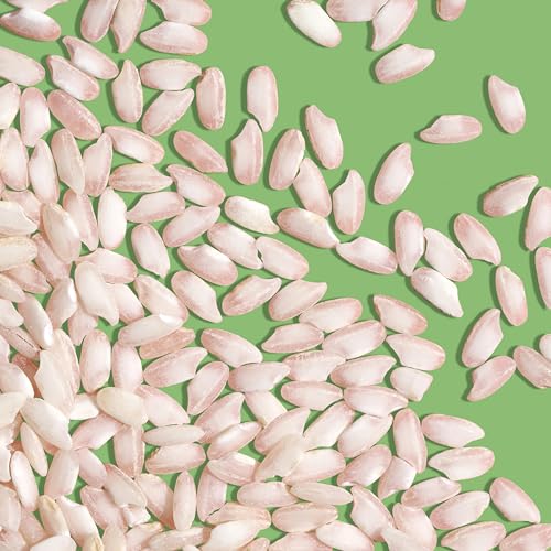 Reishunger Bio Risotto Reis Carnaroli Mittelkorn 3x600g