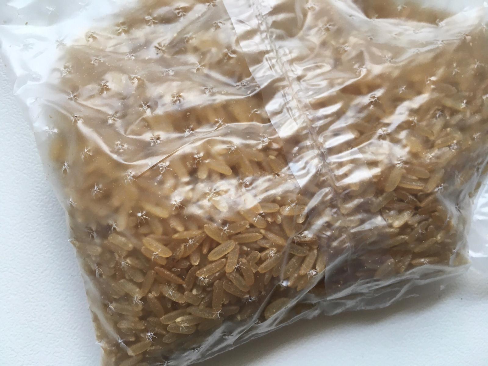 Ben's Original Natur Reis Kochbeutel 9x500 g Multipack